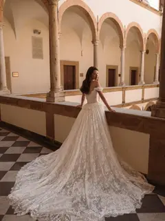 Opulent Off-the-Shoulder Beaded Lace Tulle Ball Gown — SW177 Ivory wedding dress, view 5
