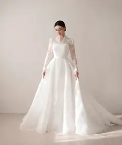 Full Lace Printed Ball Gown — SW540 Ivory wedding dress, full-length back view