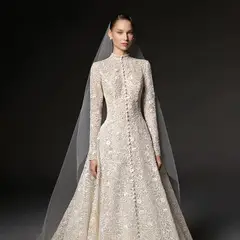 High Neck Long Sleeve Lace A-Line with Buttons — SW669 Champagne wedding dress, full-length back view