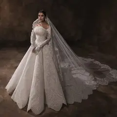 Lace Long Sleeve Fitted Train with Veil — SW524 Ivory wedding dress, full-length front view