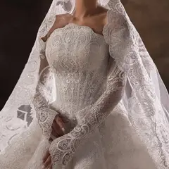 Lace Long Sleeve Fitted Train with Veil — SW524 Ivory wedding dress, close-up detail