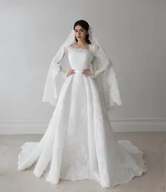 Lace Long Sleeve Square Neck with Veil — SW533 Ivory wedding dress, full-length back view