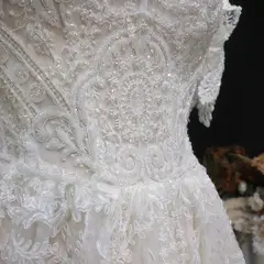 Lace Pearl Embroidery Ball Gown — SW652 Ivory wedding dress, view 6