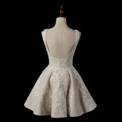 Sleeveless A-Line Short with Deep V Back — SW725 Champagne wedding dress, view 8