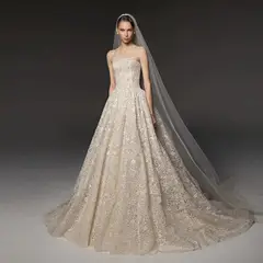 Strapless Allover Lace Ball Gown with Veil — SW667 Champagne wedding dress, full-length front view