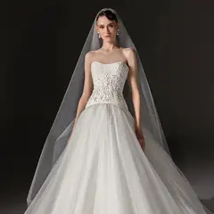 Strapless Bodice Crystal Ball Gown with Veil — SW668 Ivory wedding dress, full-length back view