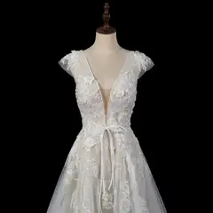 V-Neck Cap Sleeve A-Line Lace Tulle — SW711 Ivory wedding dress, view 4