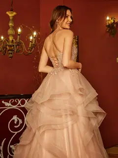 A-Line/Princess V-Neck Applique Sequins Tulle Long Prom Dresses — view 5