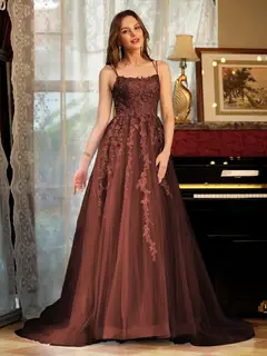 A-Line/Princess Tulle Spaghetti Straps Applique Long Prom Dresses — view 13