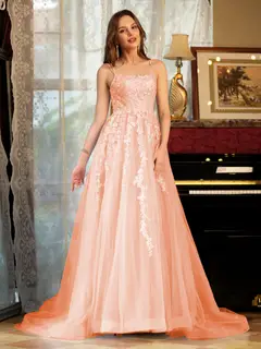 A-Line/Princess Tulle Spaghetti Straps Applique Long Prom Dresses — view 15