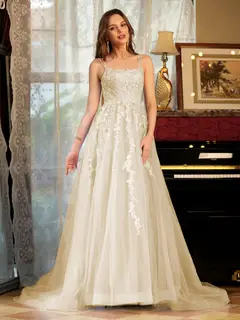 A-Line/Princess Tulle Spaghetti Straps Applique Long Prom Dresses — view 24