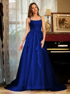 A-Line/Princess Tulle Spaghetti Straps Applique Long Prom Dresses — view 55