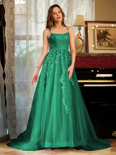 A-Line/Princess Tulle Spaghetti Straps Applique Long Prom Dresses — view 66
