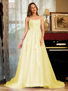 A-Line/Princess Tulle Spaghetti Straps Applique Long Prom Dresses — view 67