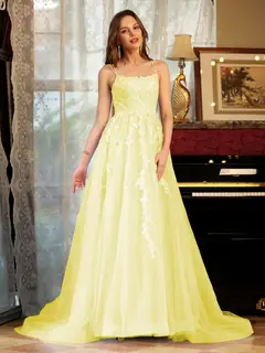 A-Line/Princess Tulle Spaghetti Straps Applique Long Prom Dresses — view 68