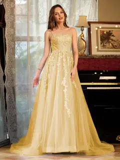 A-Line/Princess Tulle Spaghetti Straps Applique Long Prom Dresses — view 69