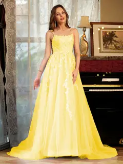 A-Line/Princess Tulle Spaghetti Straps Applique Long Prom Dresses — view 70