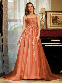A-Line/Princess Tulle Spaghetti Straps Applique Long Prom Dresses — view 71