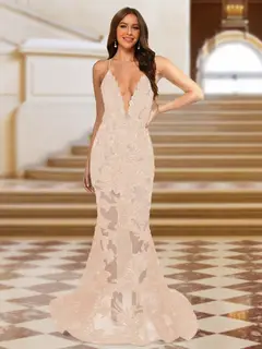 Trumpet/Mermaid V-Neck Sleeveless Evening Dresses with Applique — view 31