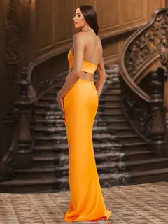 Sheath/Column Halter Sleeveless Evening Dresses with Ruched — view 2