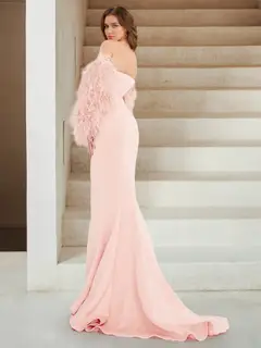 Satin Trumpet/Mermaid Strapless Long Sleeves with Feather Sweep train/brush train Evening Dresses — view 2