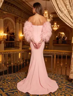 Trumpet/Mermaid Strapless Long Sleeves train/brush train Evening Dresses with Feather — view 2