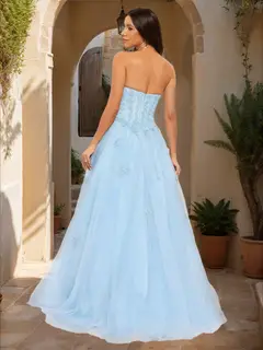 Ball Gown Strapless Sleeveless Applique Prom Dresses — view 2