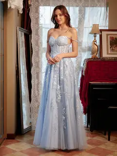 A-Line/Princess Sweetheart Applique Tulle Long Prom Dresses — view 3