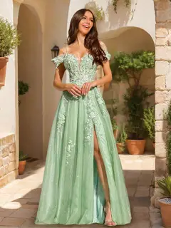 A-Line/Princess Cold-Shoulder Appliques Tulle Prom Dresses with Feathers — view 1