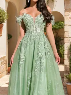 A-Line/Princess Cold-Shoulder Appliques Tulle Prom Dresses with Feathers — view 3
