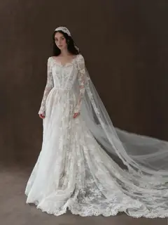 Whimsical Lace V-Neck Long Sleeve with Veil — SW276 Ivory wedding dress, full-length back view