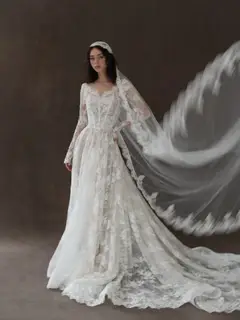 Whimsical Lace V-Neck Long Sleeve with Veil — SW276 Ivory wedding dress, close-up detail