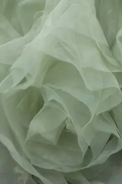 Cleo — view 14