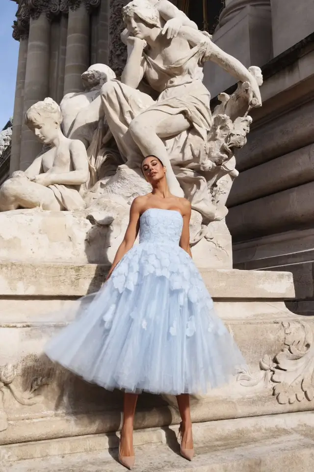 Women's Strapless Sleeveless Tulle Prom Dress with Appliqué and Floral Details Midi Length for Prom & Homecoming